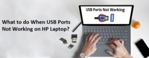 USB Ports Not Working on HP Laptop